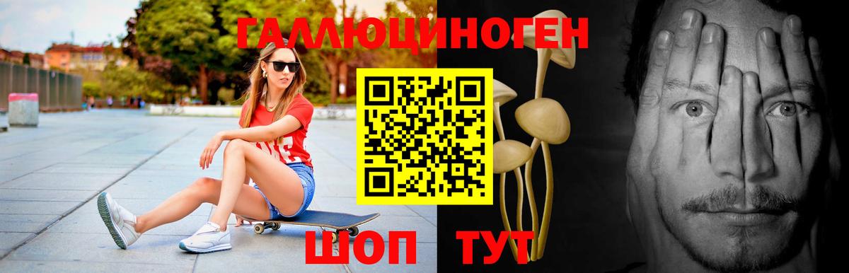 Саянск  Галлюциногенные грибы GOLDEN TEACHER  Вход с VPN 